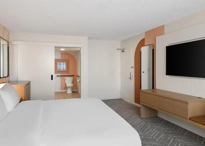 One-Bedroom King Suite